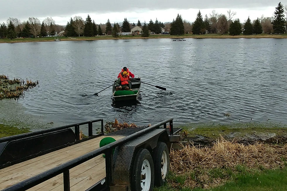 City Tests New LaBonte Lake Remediation Method