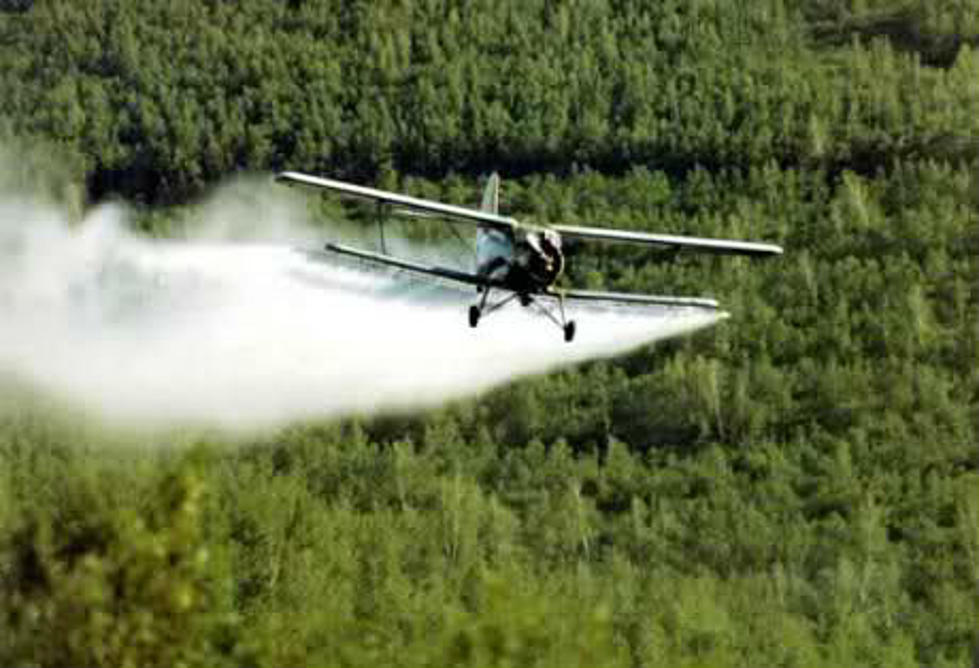 BLMCC May Catch a Break and Get Aerial Mosquito Spraying Done