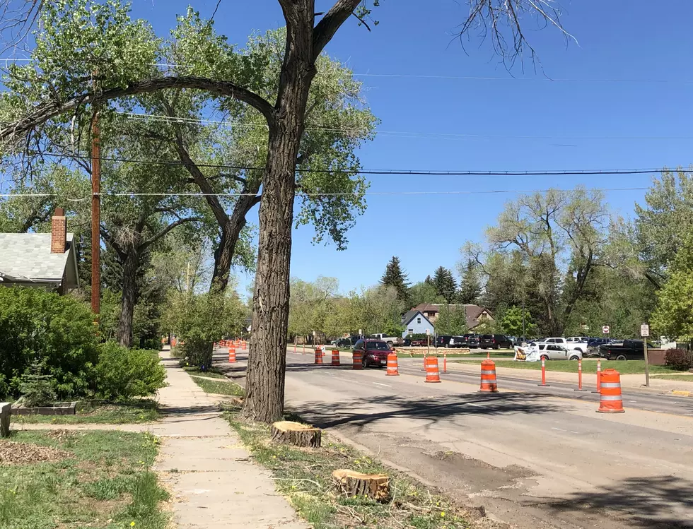 21 Old Trees Removed on Grand Ave., but Replacements are Planned