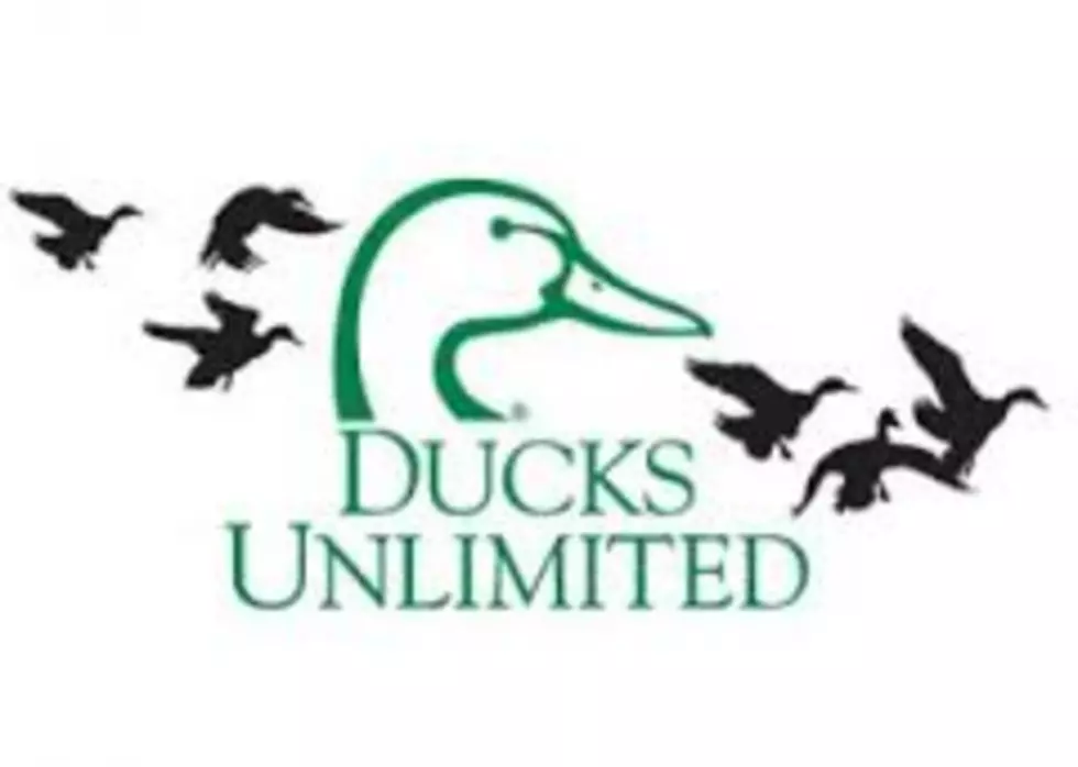 Ducks Unlimited Event Coming to Laramie