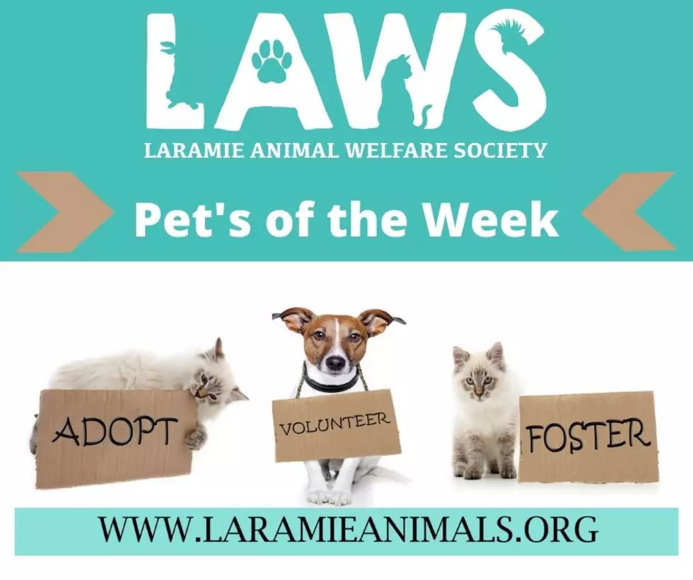 Laramie Pet’s of the Week