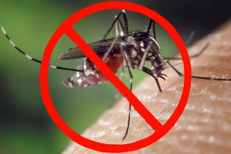 City of Laramie to Target Mosquitos Tomorrow