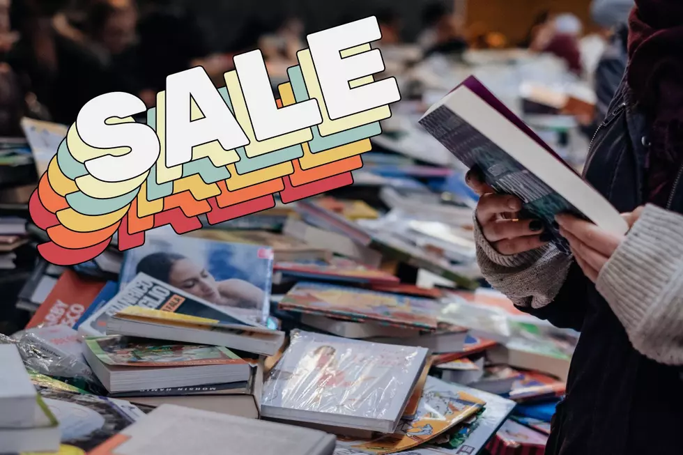 Fall Book Sale at the Albany County Public Library
