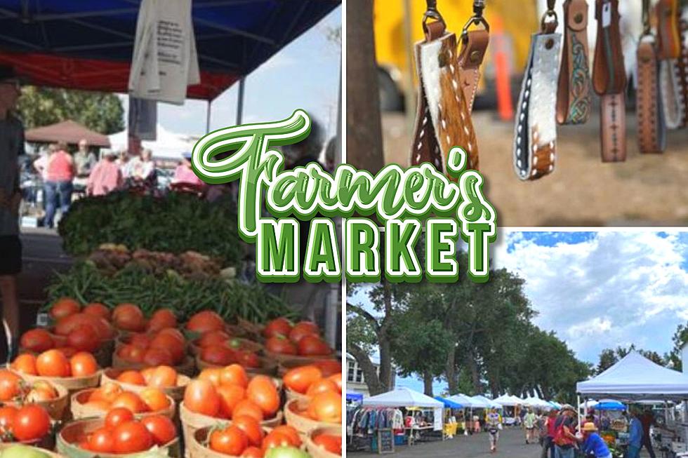 The Laramie Farmer’s Market Kicks Off This Friday!