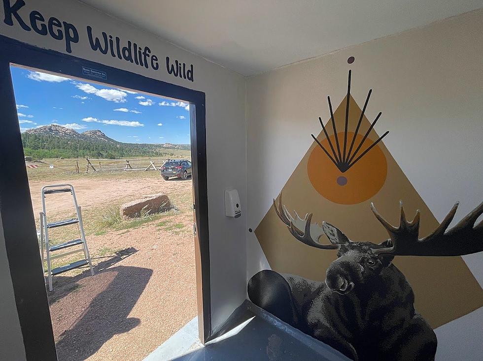 Vedauwoo Potty Painting Party Unveils Restroom Murals