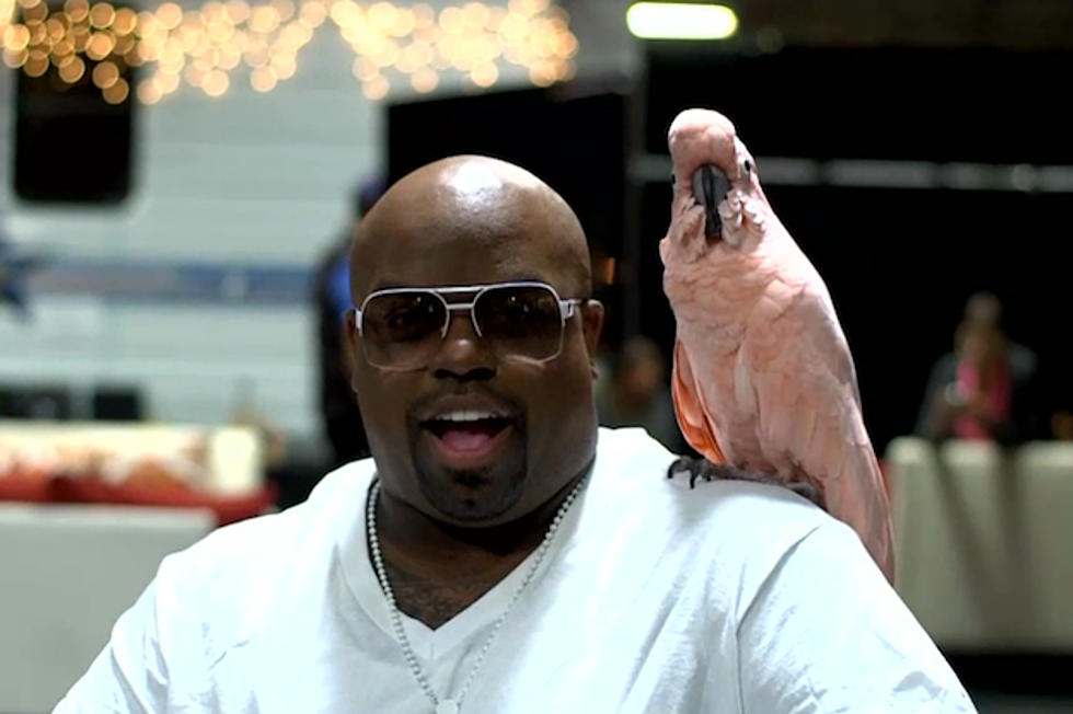 Cee Lo Green Warned Against Bringing Cockatoo to ‘The Voice’ Set