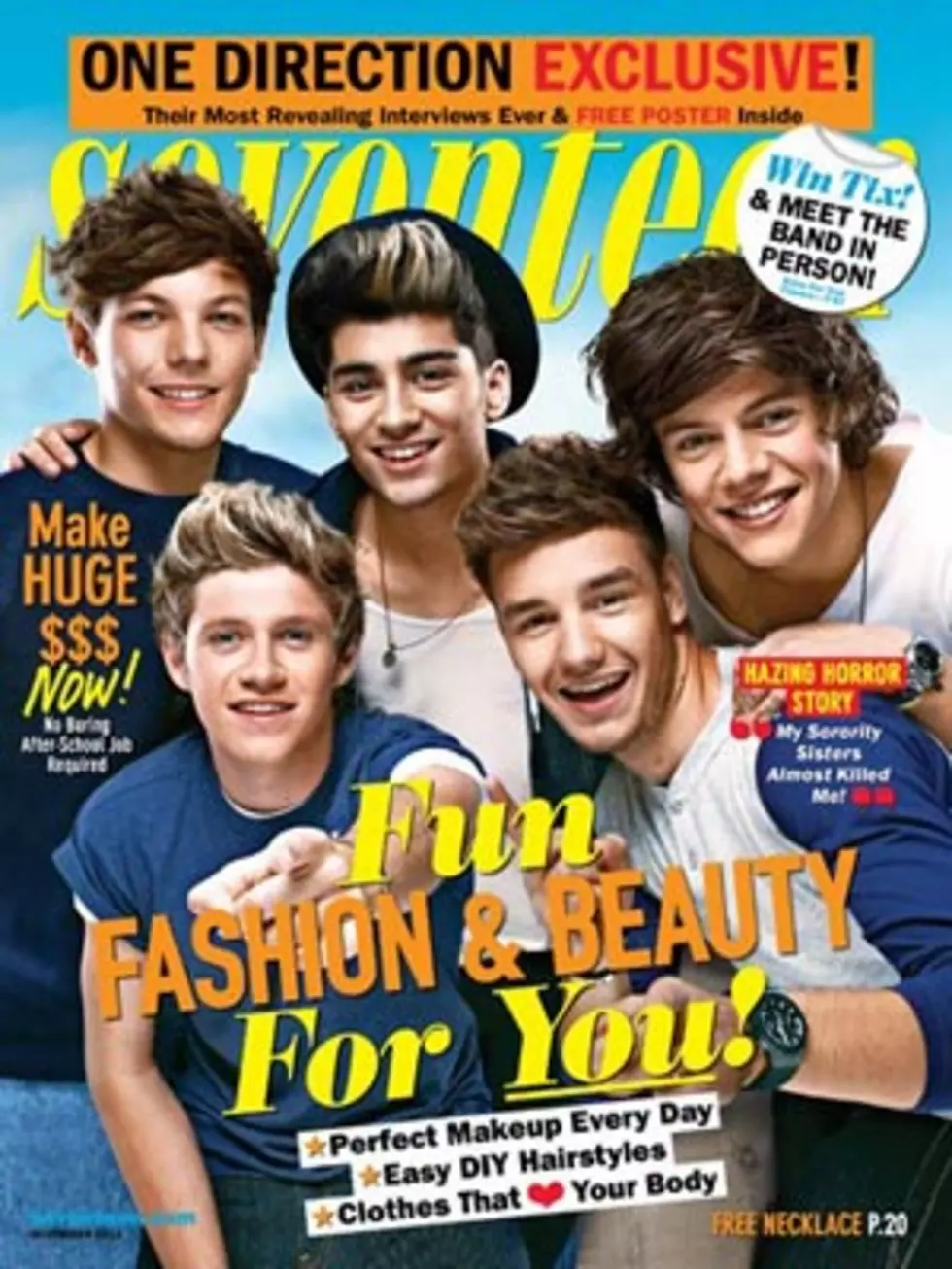 One Direction Cover Seventeen