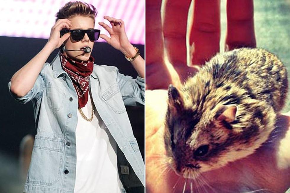 Justin Bieber&#8217;s Former Pet Hamster Is Living Large