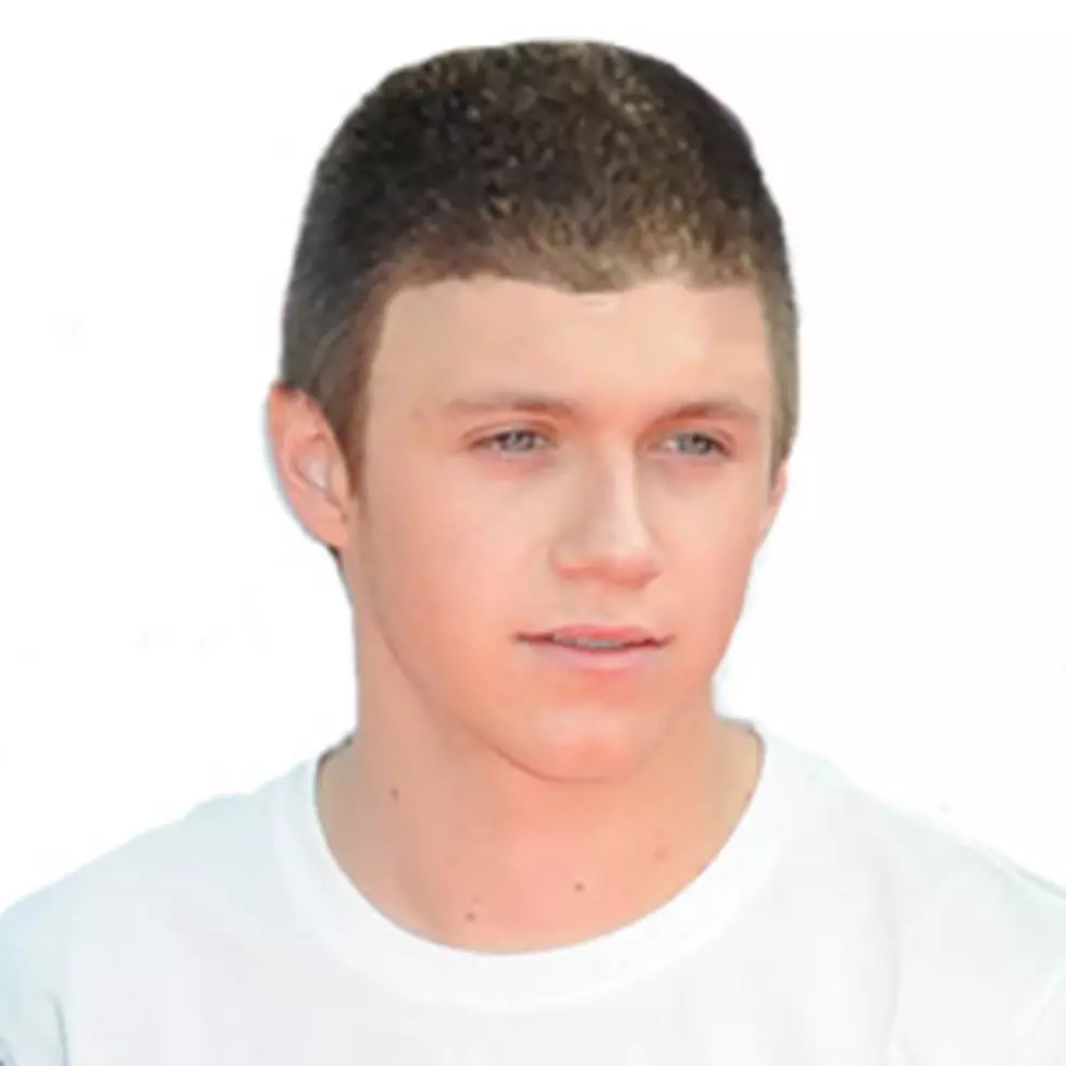 See Niall Horan With Liam Payne&#8217;s Buzz Cut