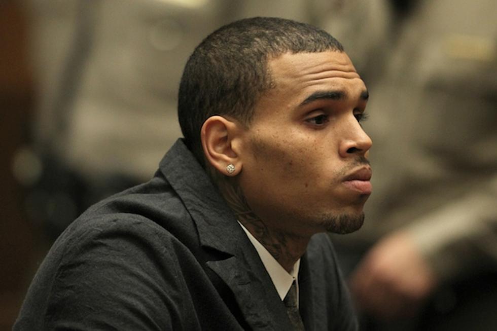 Chris Brown May Have Done Community Service, According to Worker