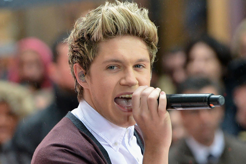 Niall Horan of One Direction Splits From Girlfriend Amy Green