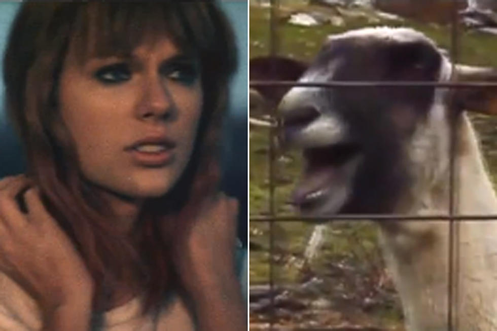 Taylor Swift&#8217;s &#8216;I Knew You Were Trouble&#8217; Gets a Viral Remix &#8230; With a Goat [VIDEO]