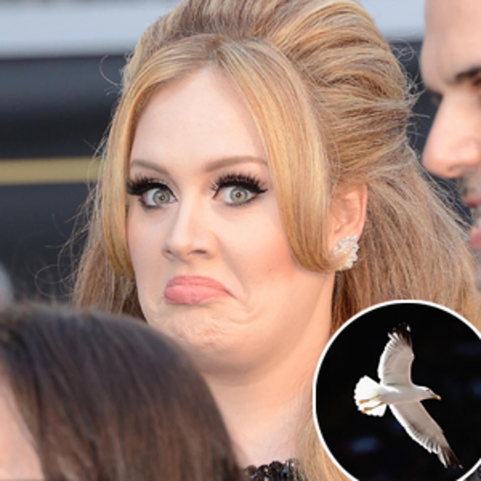 What Does Adele Fear?