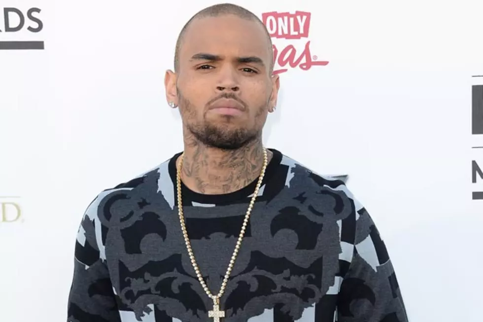 Chris Brown Crashes Car With Karrueche Tran, Gets Puppy, Poses With Justin Bieber