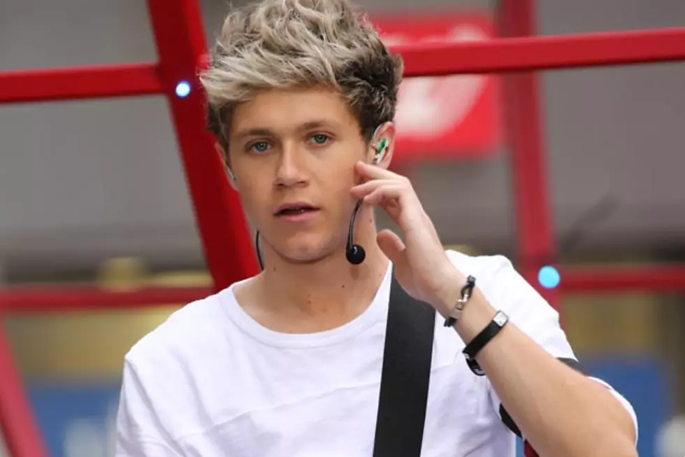 Best Niall Horan GIFs