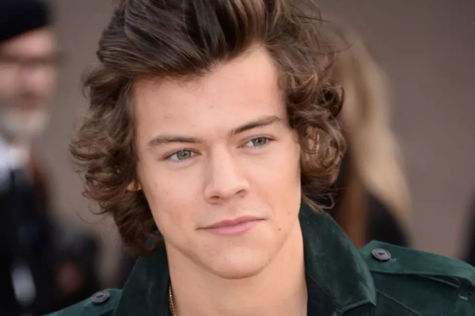 Harry Styles Saves Fan From Getting Trampled by the Paparazzi [PHOTO]