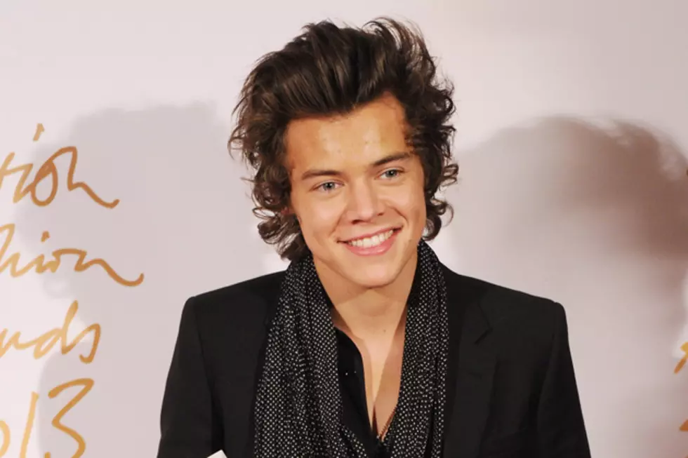Is Harry Styles Completely Naked in This Photo? [NSFW]