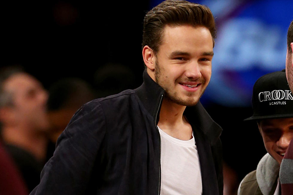 Liam Payne Injured During Concert, Niall Horan + Zayn Malik Come to the Rescue [VIDEO]