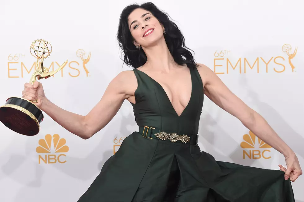 Did Sarah Silverman Say The Military Should Overthrow The President?