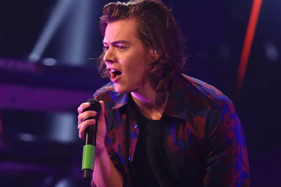 Harry Styles Explains What Really Made Him Sick on the Side of the Highway