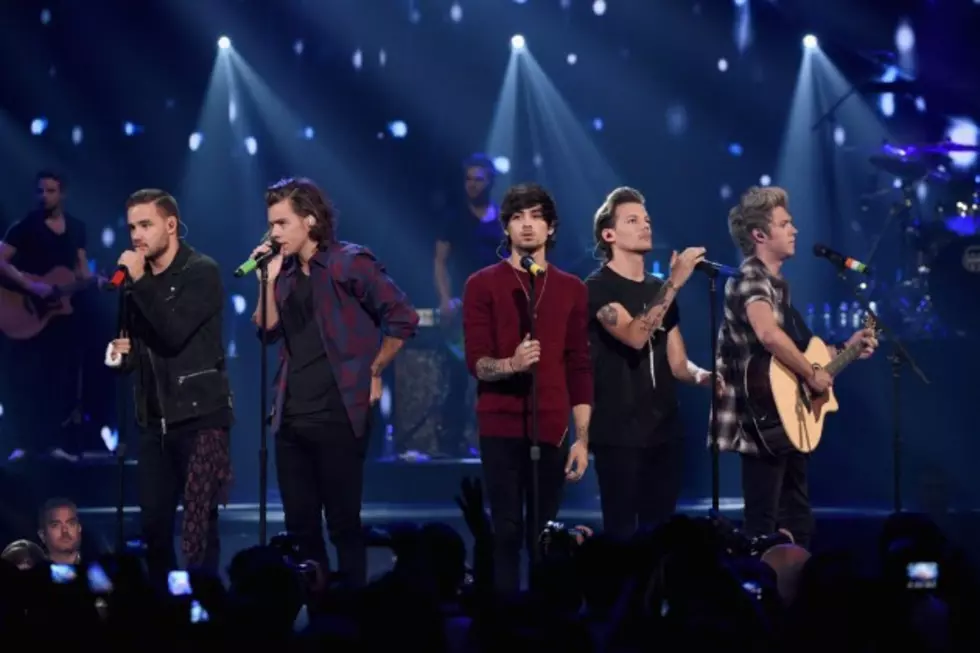 One Direction Announce 2015 On the Road Again Tour Dates