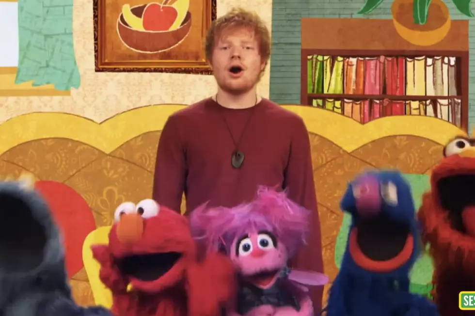 Ed Sheeran Stresses the Importance of Behavior Modification on ‘Sesame Street’ [VIDEO]