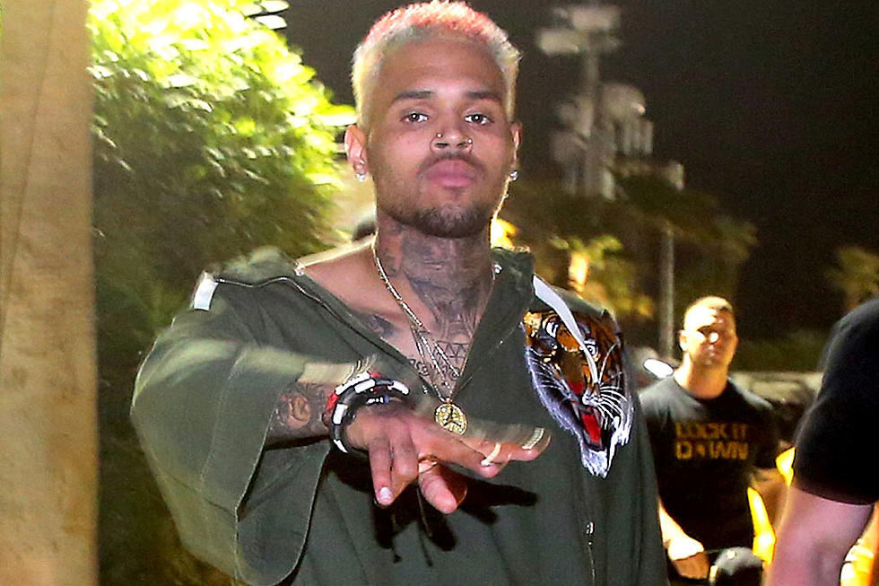 Chris Brown Fan Charged With Stalking