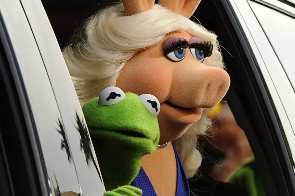 I Will Not Be Party To Kermit And Miss Piggy's Breakup