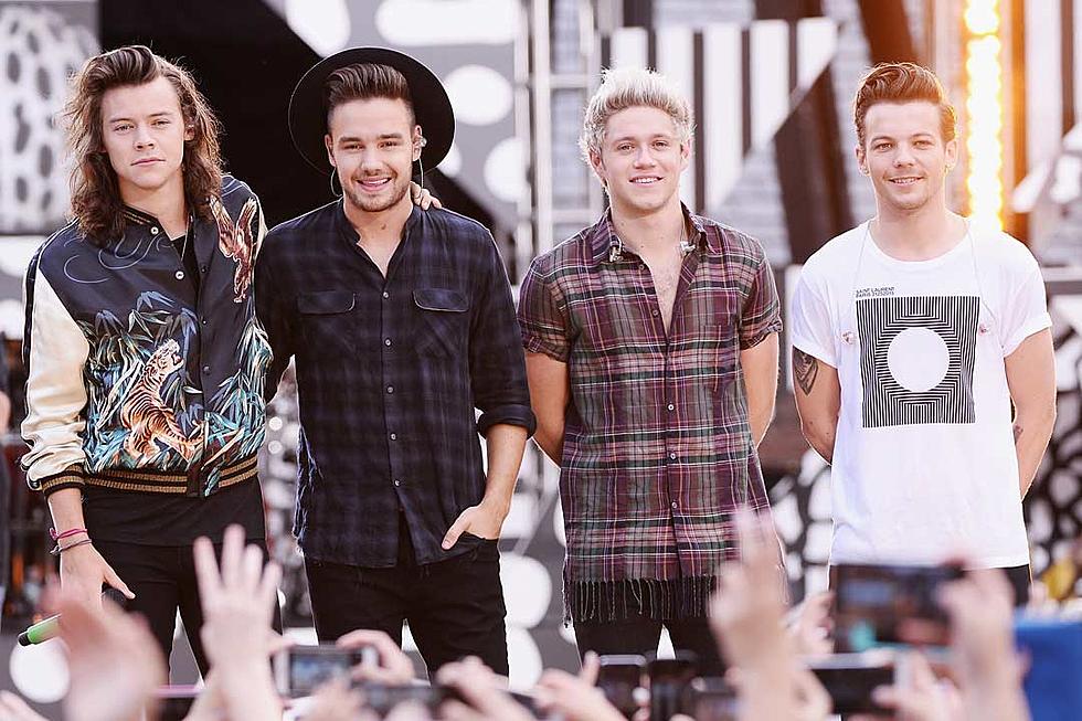 Niall Horan Confirms One Direction Break