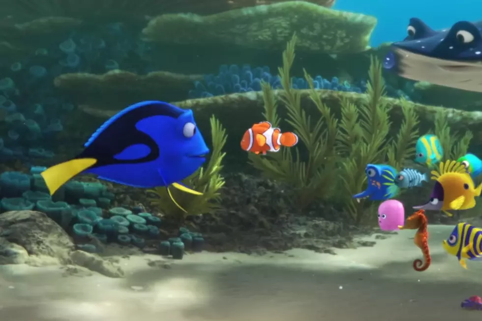 The Full ‘Finding Dory’ Trailer Is Here: Watch The Forgetful Fish’s Sudden Revelation (VIDEO)