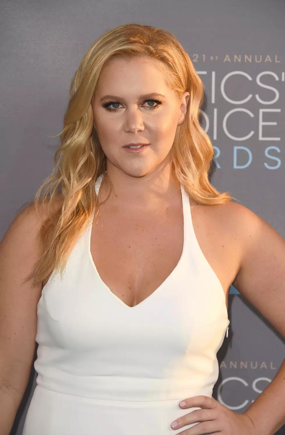 Albany Film Critic Faces Twitter Backlash After Amy Schumer Joke