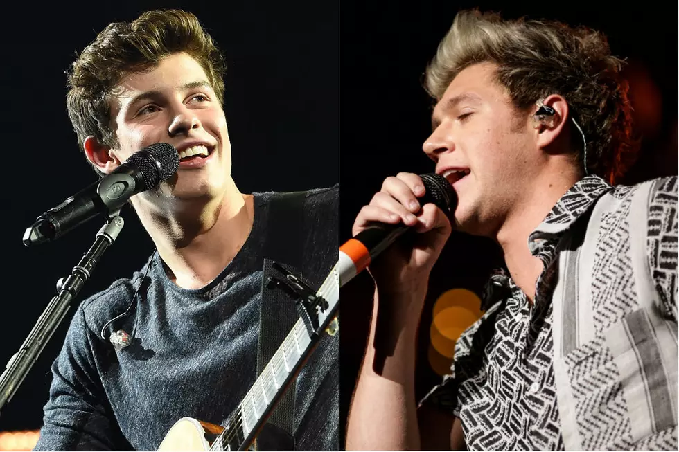 Shawn Mendes Confirms Niall Horan Duet on the Way