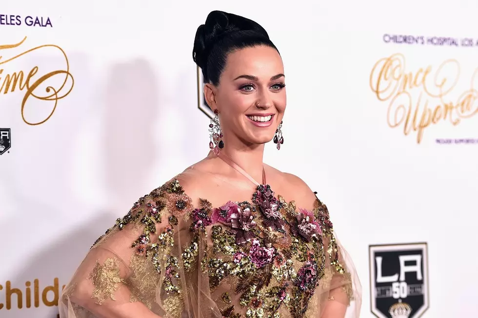 Katy Perry Donates $10,000 to Planned Parenthood Following Donald Trump Election