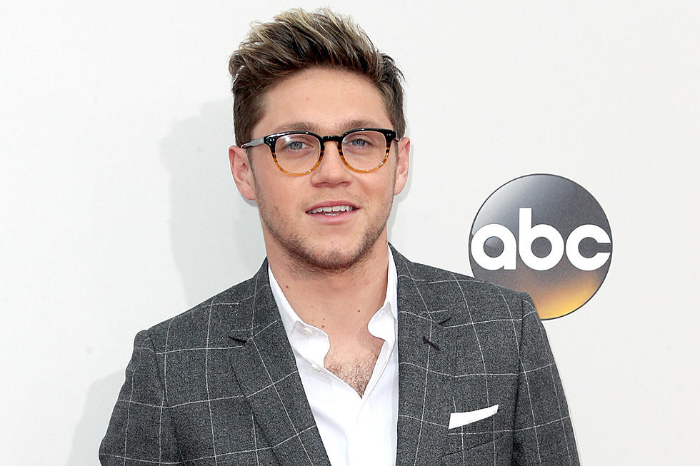Niall Horan Charms at the 2016 American Music Awards