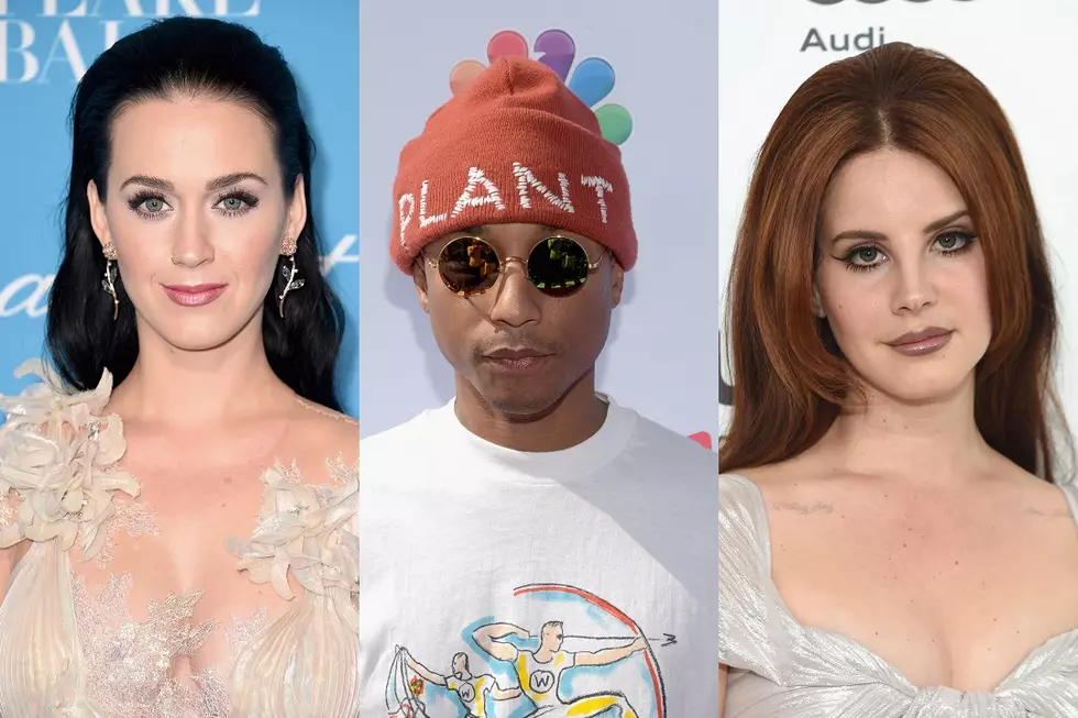 Stars Like Katy Perry + More React to Denial of DAPL Announcement