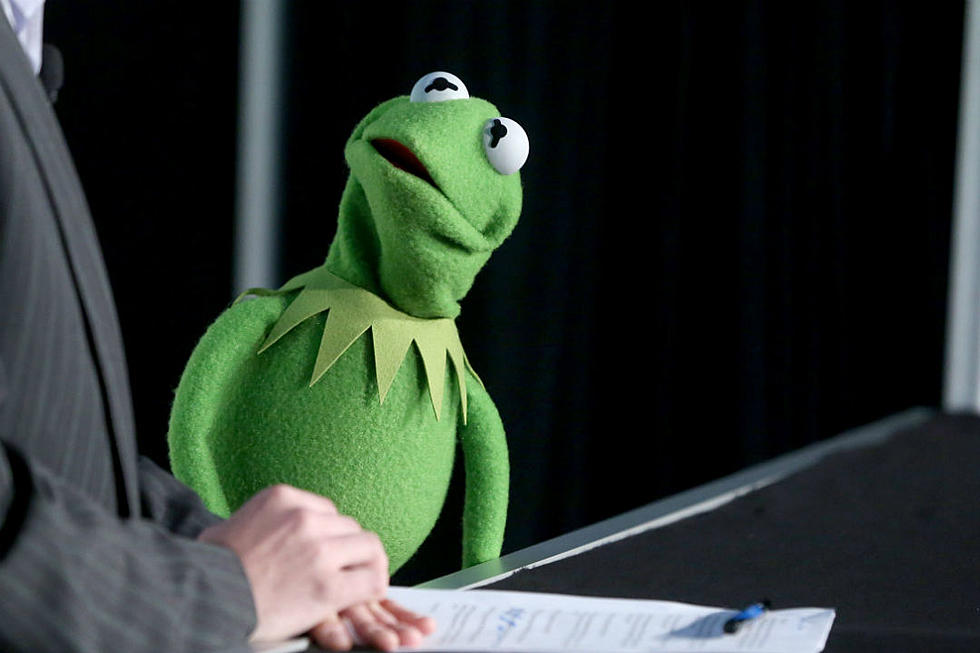 Fired Kermit The Frog Actor Says He&#8217;s &#8216;Devastated&#8217;