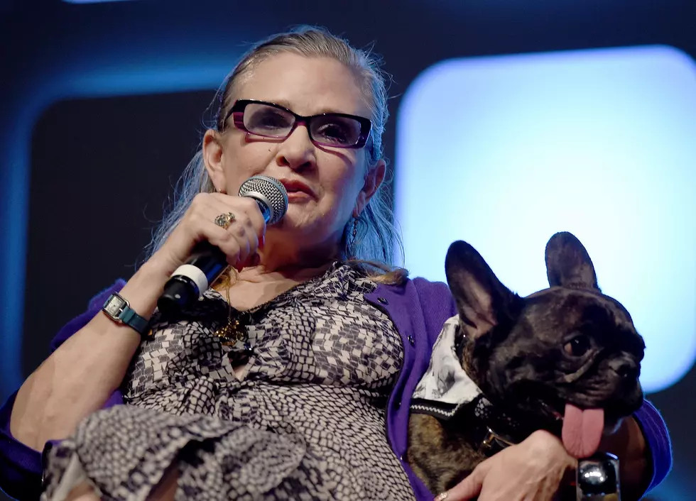 Carrie Fisher&#8217;s Dog Gary Attends the Opening Night of &#8216;The Last Jedi&#8217;