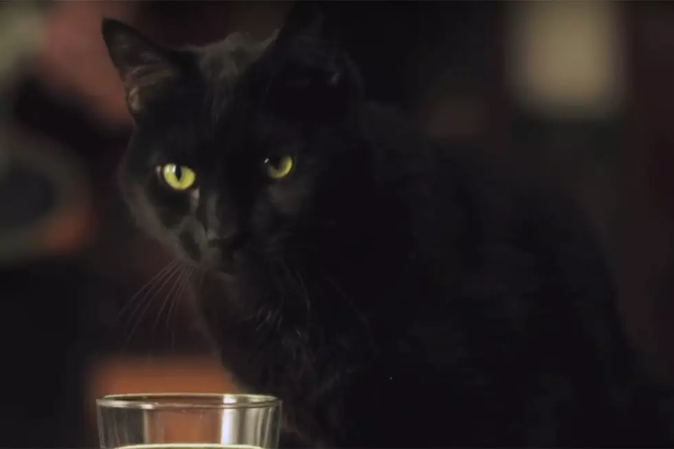 Here’s Your First Look at Salem the Cat from Netflix’s ‘Sabrina’ Reboot