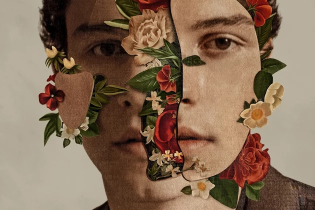 On &#8216;Shawn Mendes,&#8217; a Blooming Pop Star Finally Sounds Like Himself (REVIEW)