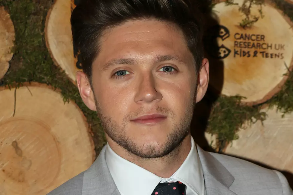 Niall Horan Just Shared a One Direction Reunion Update