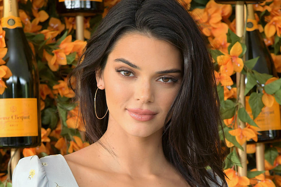 Kendall Jenner’s ‘Twin’ Gets TV Show