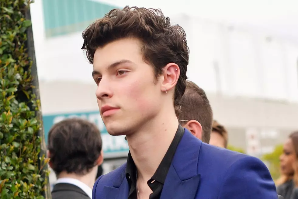 Shawn Mendes Responds to Fan Who Asked for Help Coming Out to Her Parents