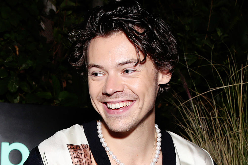 Harry Styles Was Once a Dog Sitter for This Famous Actor
