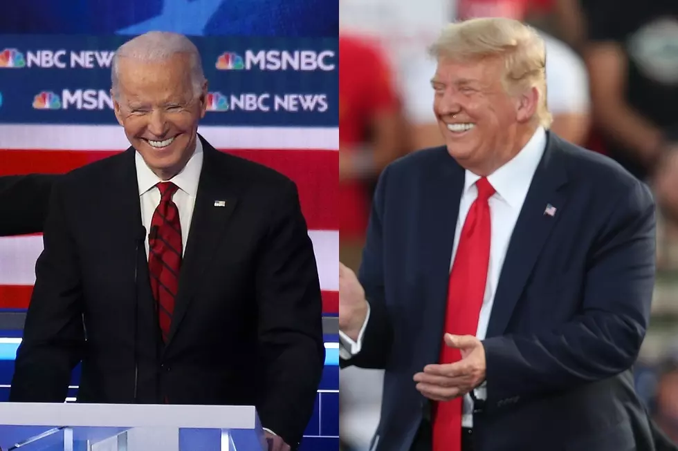 20 Hilarious Election TikToks That Will Help Ease Your 2020 Voting Anxiety