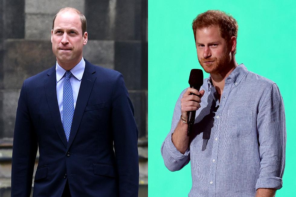 Prince William Is Concerned Harry Could ‘Go Too Far With His Truth Bombs': Report