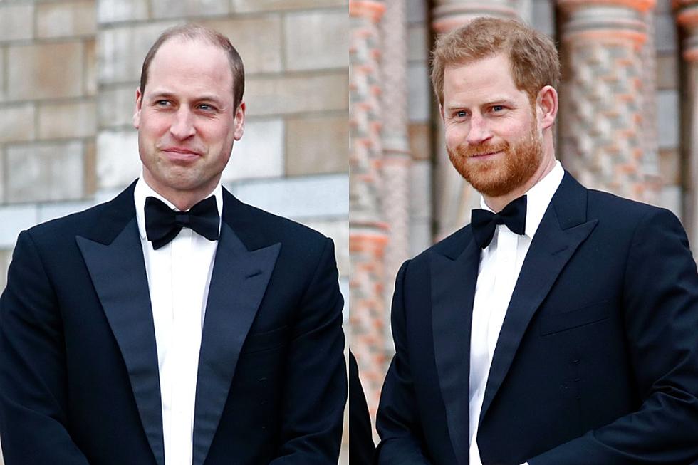 Prince William and Prince Harry Fought During Funeral: Report