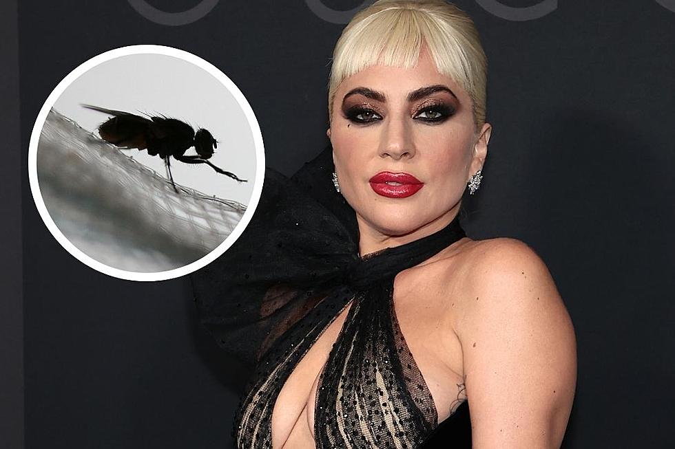 Lady Gaga Believed Patrizia Gucci Cursed Her With Swarms of Flies During ‘House of Gucci’ Filming