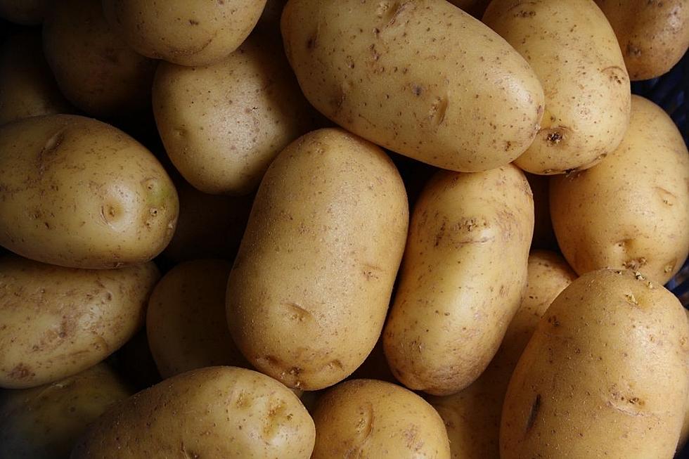 DNA Test Proved Doug the World’s Largest Potato Was a Lie