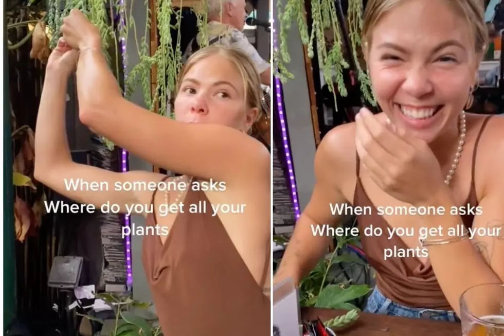 TikToker Steals Leaves From Businesses to Grow Her Own House Plants