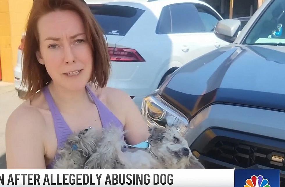 Actress Jena Malone Part of Group That Chased Down Dog Abuser in Los Angeles